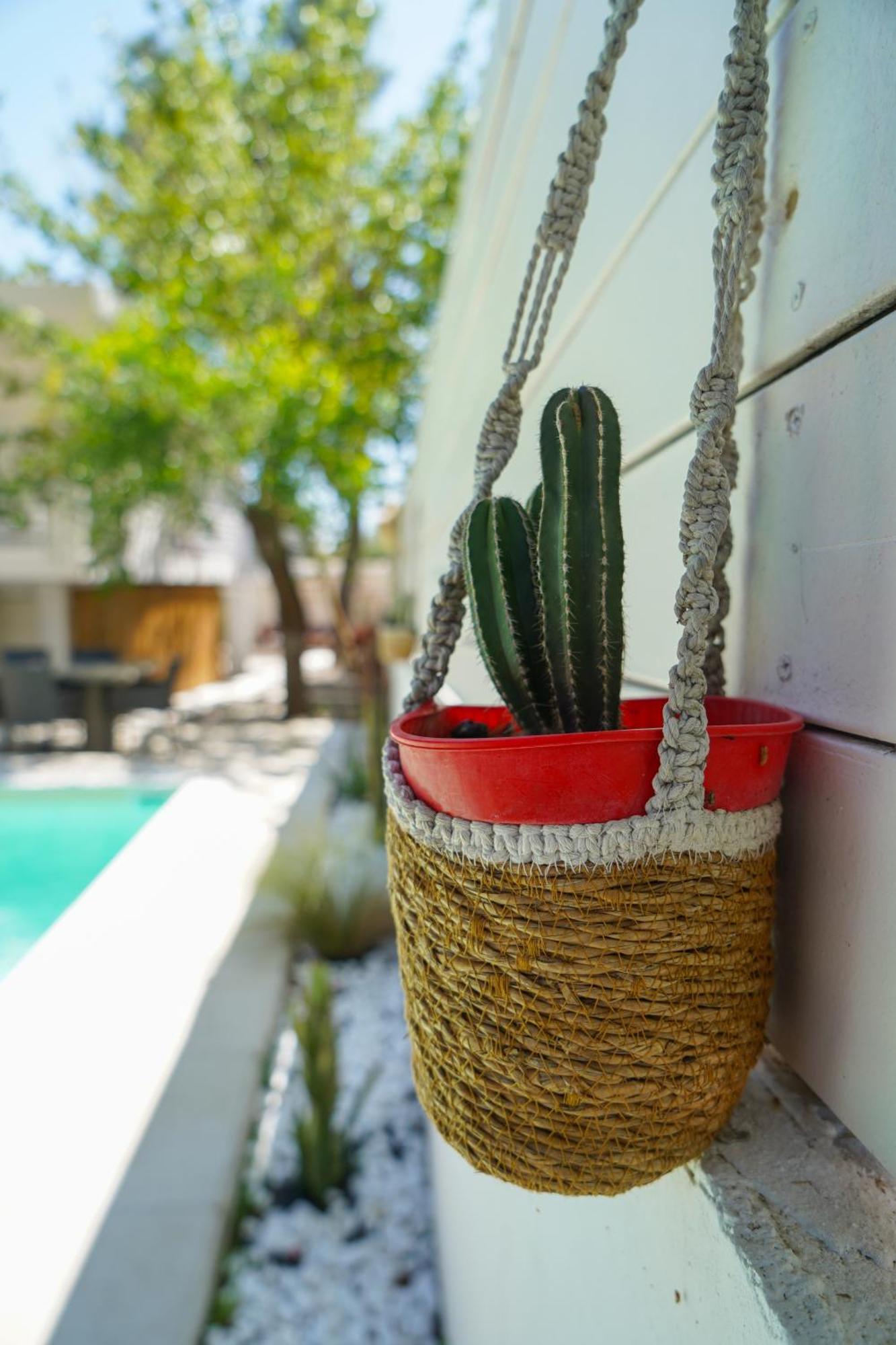 Villa Helio Kineta Ngoại thất bức ảnh